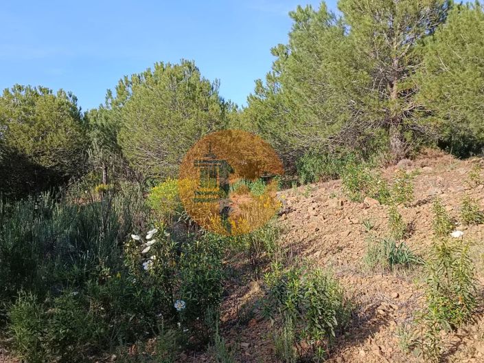 Image No.27-Plot for sale