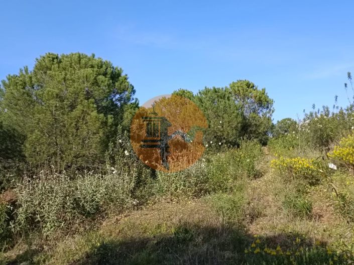 Image No.29-Plot for sale