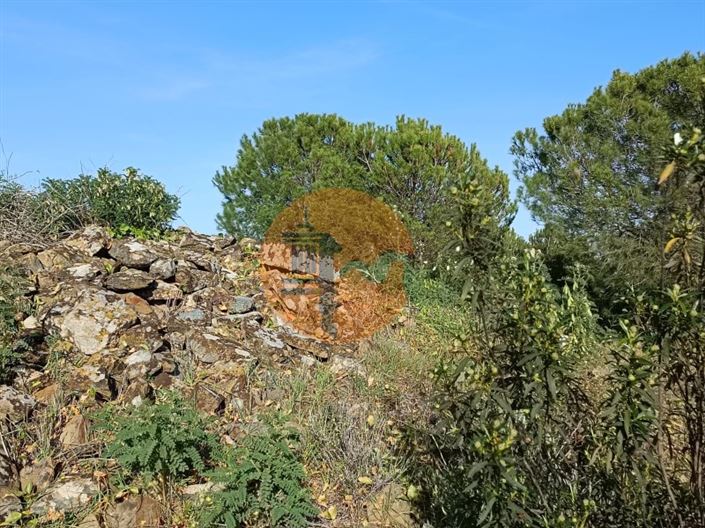 Image No.30-Plot for sale