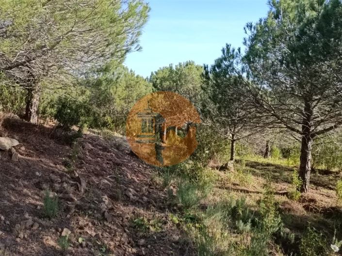 Image No.31-Plot for sale