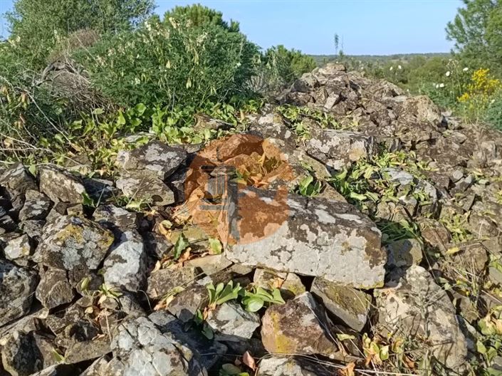 Image No.32-Plot for sale