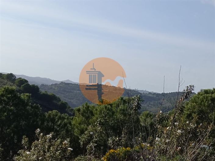 Image No.33-Plot for sale