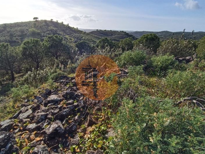 Image No.34-Plot for sale