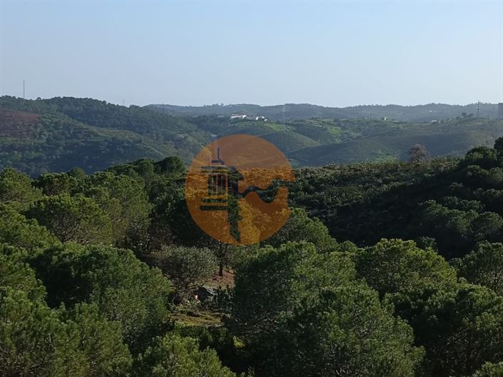 Image No.36-Plot for sale