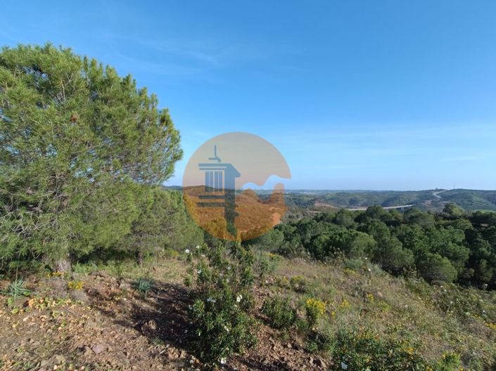 Image No.38-Plot for sale