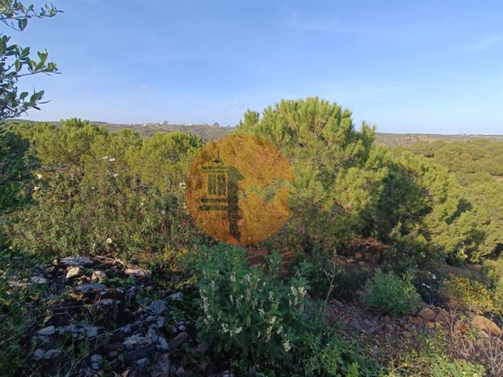 Image No.39-Plot for sale