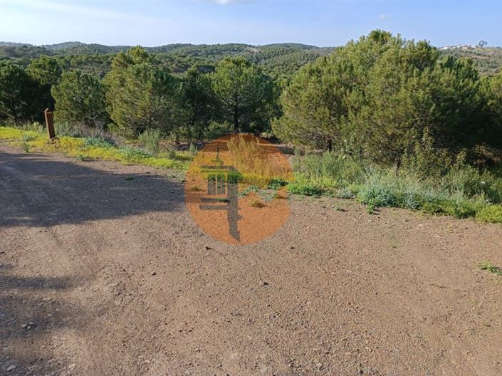 Image No.4-Plot for sale