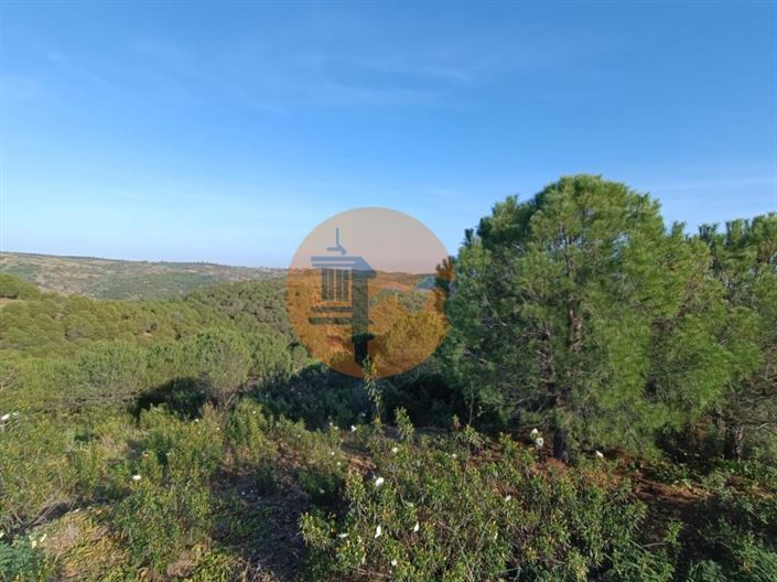 Image No.40-Plot for sale