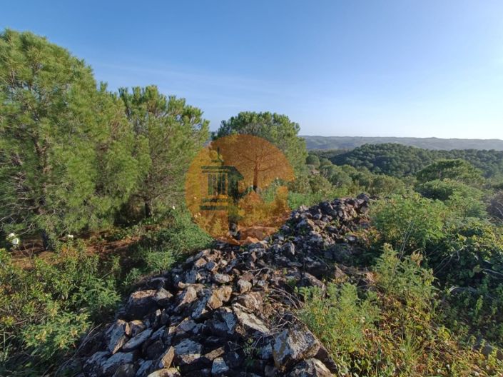 Image No.41-Plot for sale