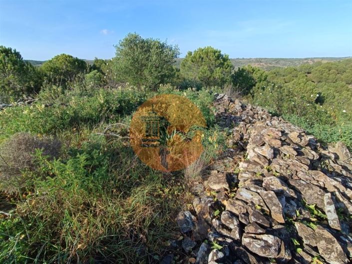 Image No.42-Plot for sale