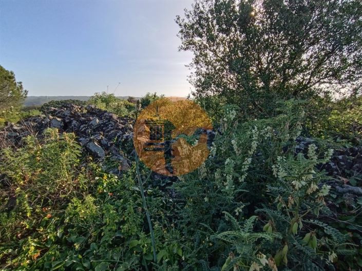 Image No.44-Plot for sale