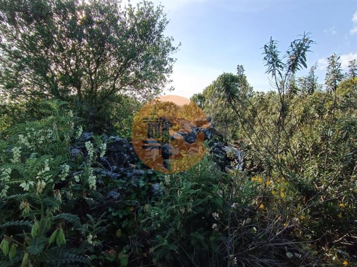 Image No.45-Plot for sale