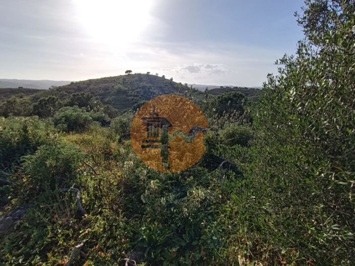 Image No.46-Plot for sale