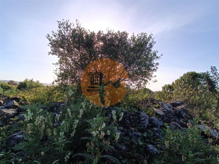 Image No.48-Plot for sale