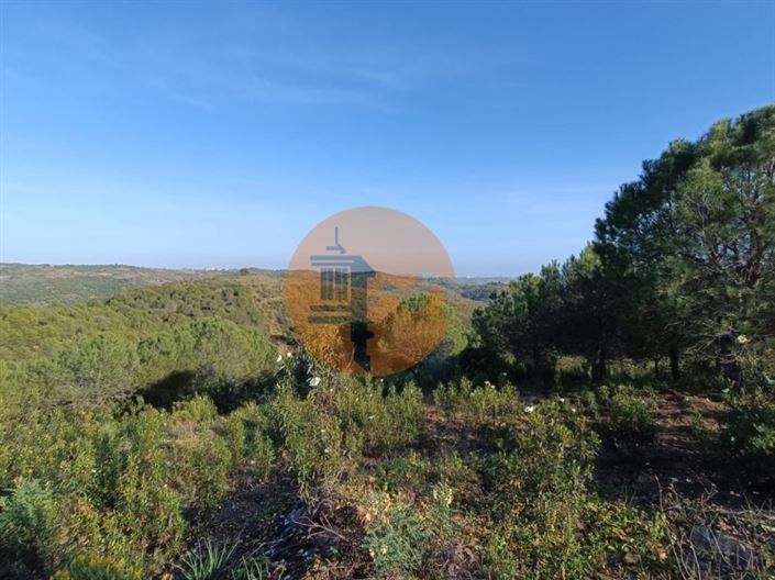 Image No.49-Plot for sale