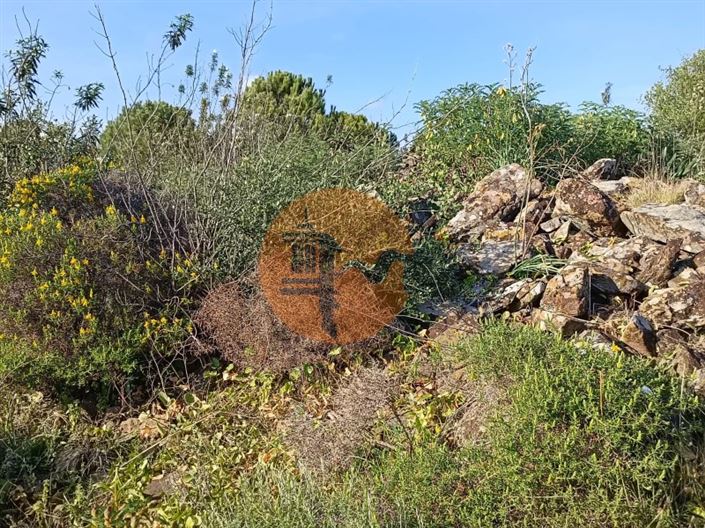 Image No.5-Plot for sale