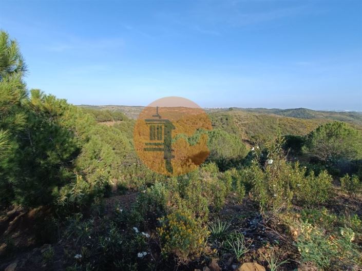 Image No.50-Plot for sale