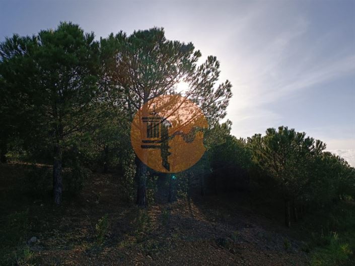 Image No.6-Plot for sale