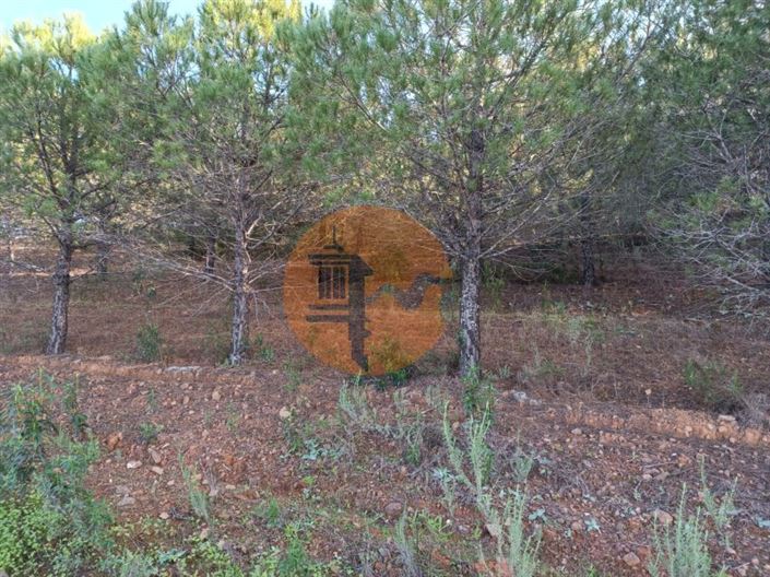 Image No.9-Plot for sale