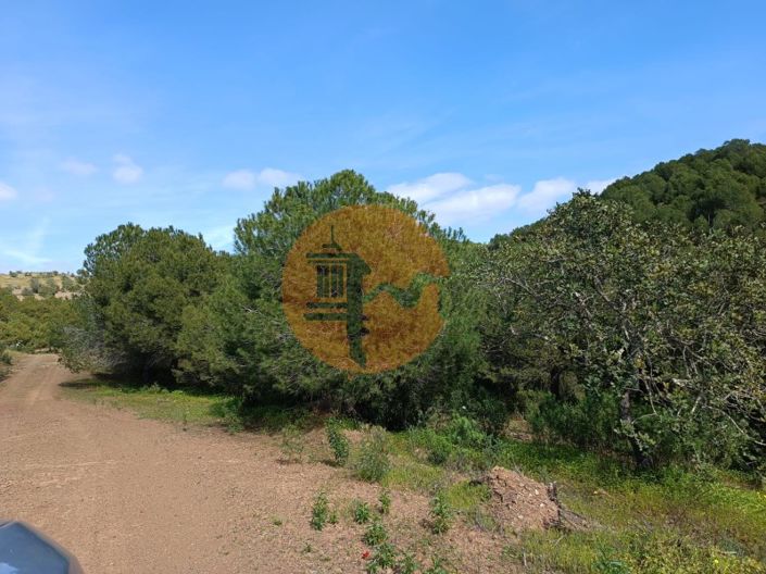 Image No.11-Plot for sale