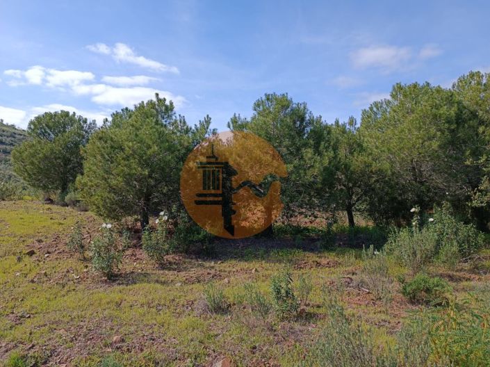 Image No.17-Plot for sale