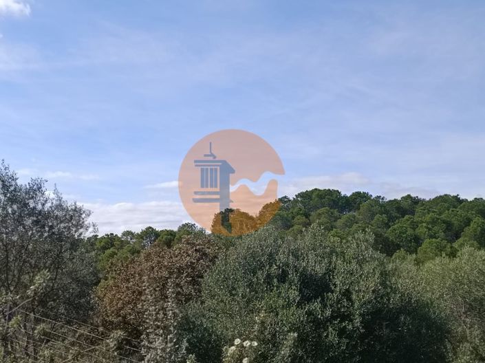 Image No.23-Plot for sale