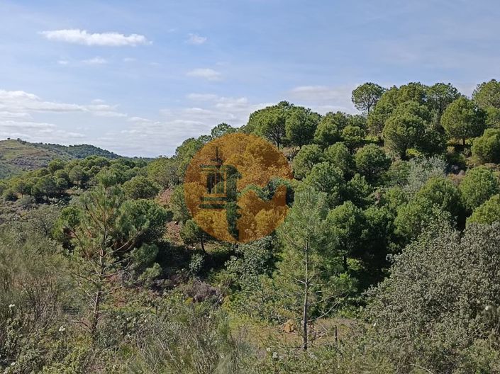 Image No.28-Plot for sale