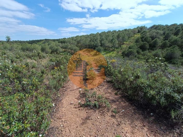 Image No.11-Plot for sale