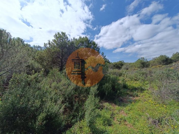 Image No.12-Plot for sale