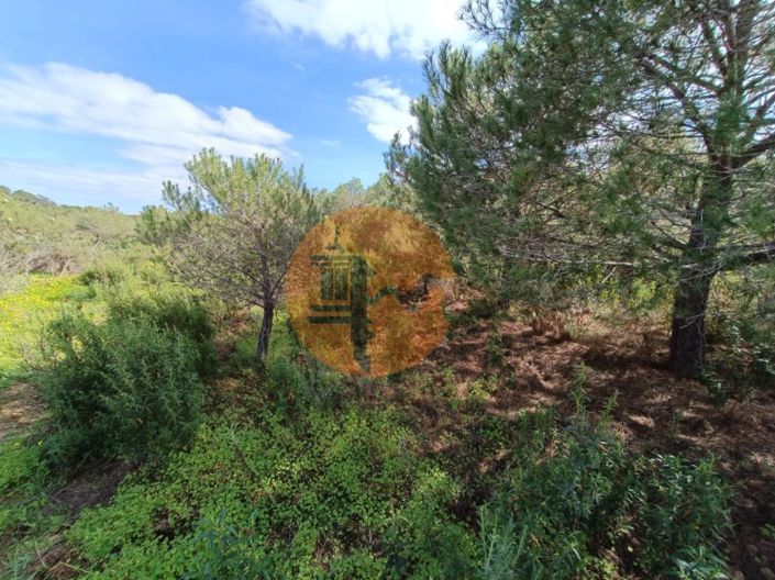 Image No.15-Plot for sale