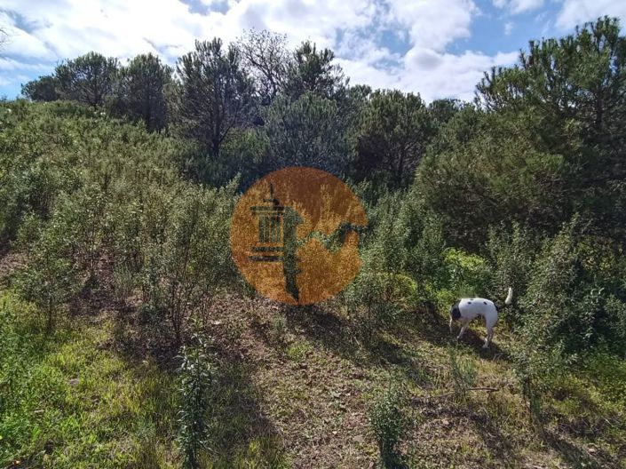 Image No.22-Plot for sale