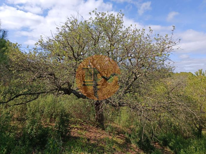 Image No.27-Plot for sale