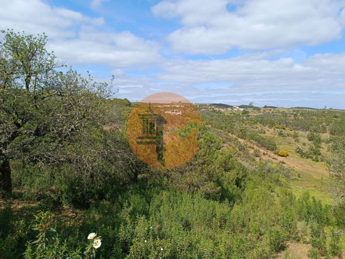 Image No.28-Plot for sale