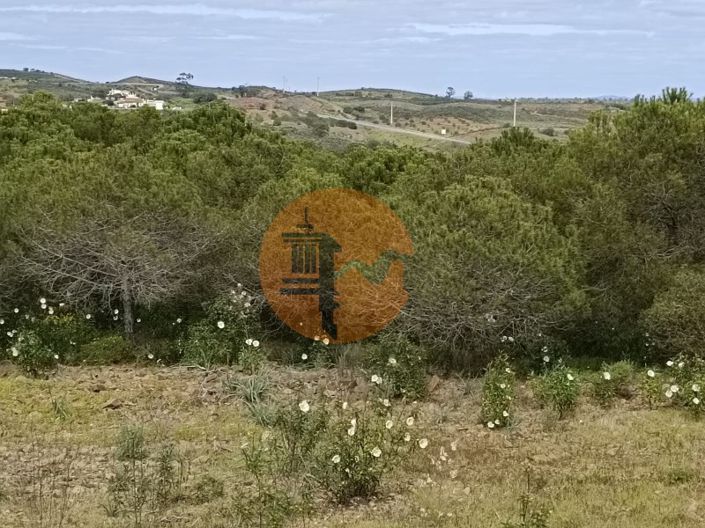 Image No.3-Plot for sale