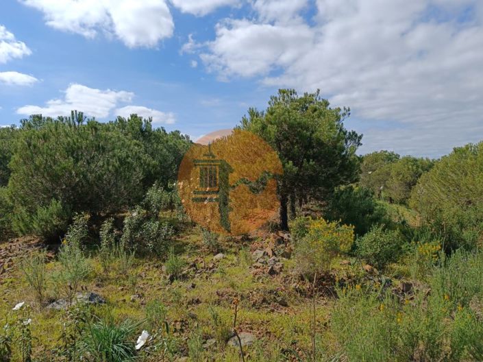 Image No.31-Plot for sale