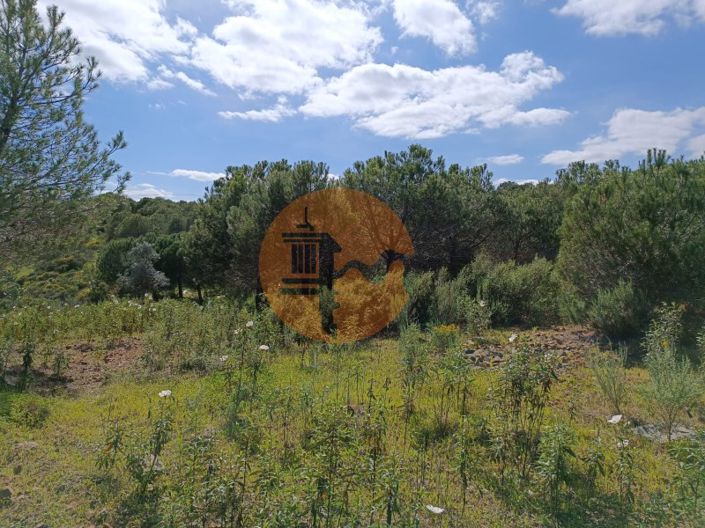 Image No.33-Plot for sale