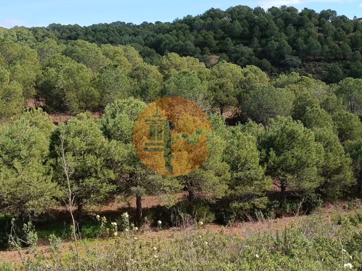 Image No.34-Plot for sale