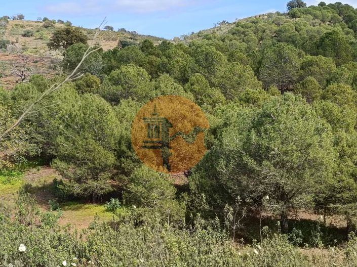 Image No.36-Plot for sale