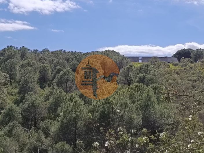 Image No.8-Plot for sale