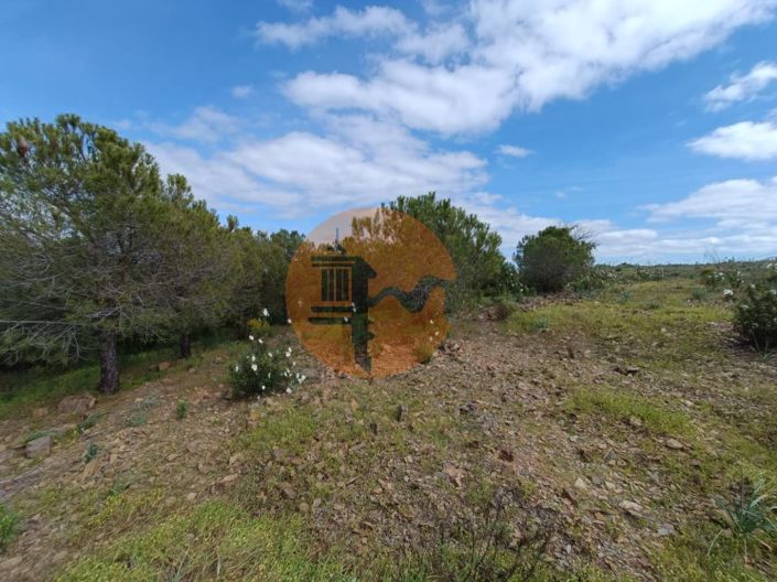 Image No.9-Plot for sale