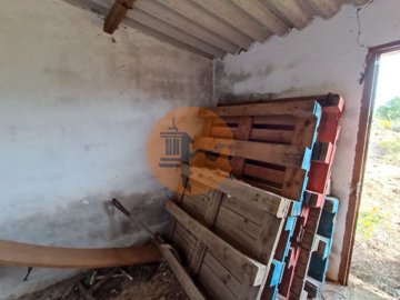 id2abc6401-0000-0500-0000-00001116beeb