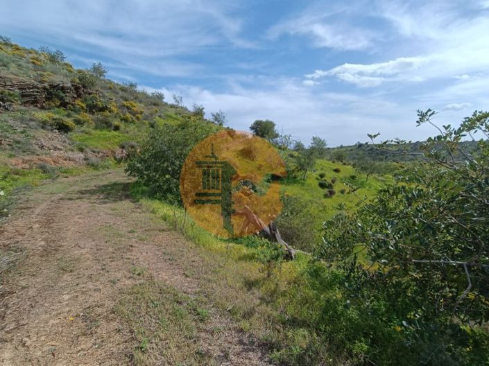 Image No.18-Plot for sale