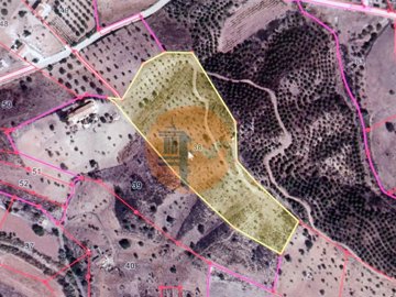 id2abc6401-0000-0500-0000-00001116bed2