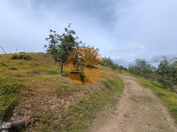 Image No.26-Plot for sale