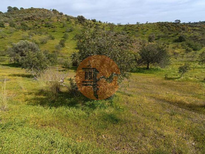 Image No.28-Plot for sale