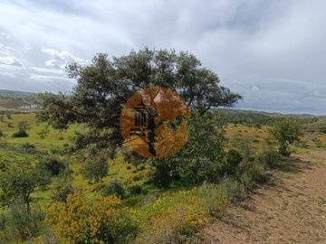 id2abc6401-0000-0500-0000-00001116befa