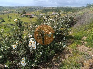 id2abc6401-0000-0500-0000-00001116bed9