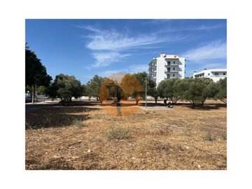 1 - Loule, Plot