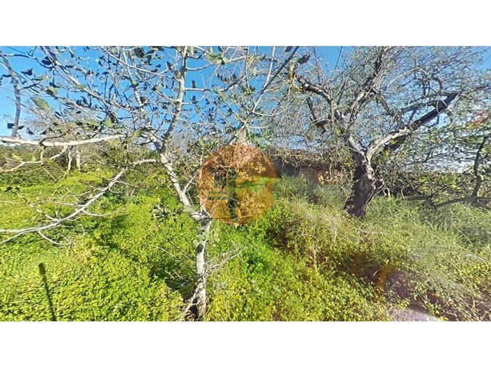 Image No.33-Plot for sale