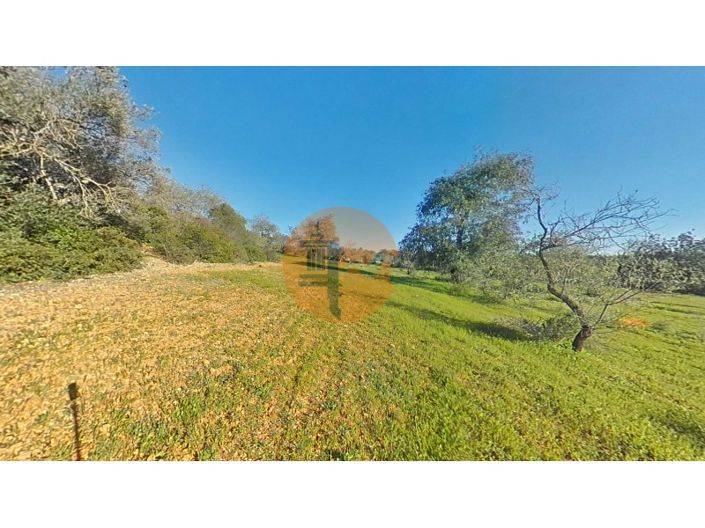 Image No.35-Plot for sale